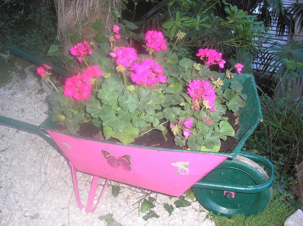 Apartment Nena With Private Free Parking Opatija Zewnętrze zdjęcie